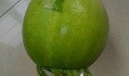 每日必吃 今日吃瓜事件,揭秘娱乐圈最新热点事件